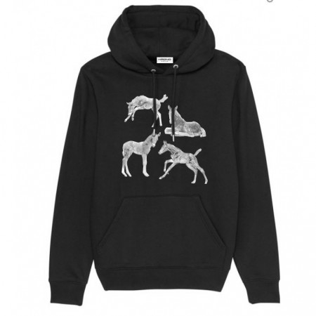 Playing Foal Hoodie