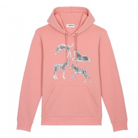 Playing Foal Hoodie