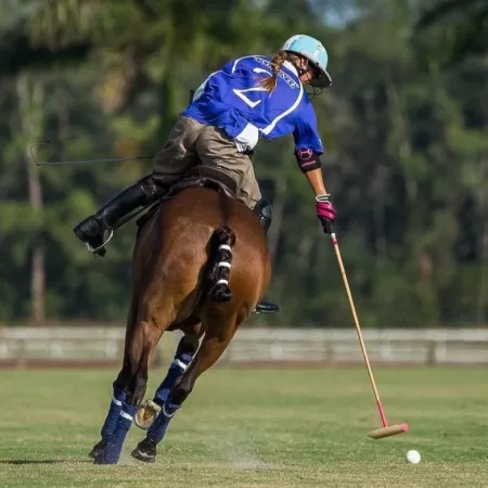 Coderas Rosadas Coderas Rosadas